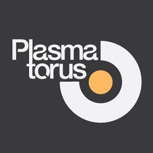 Plasma-Torus